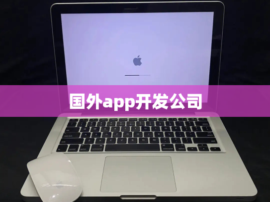 国外app开发公司