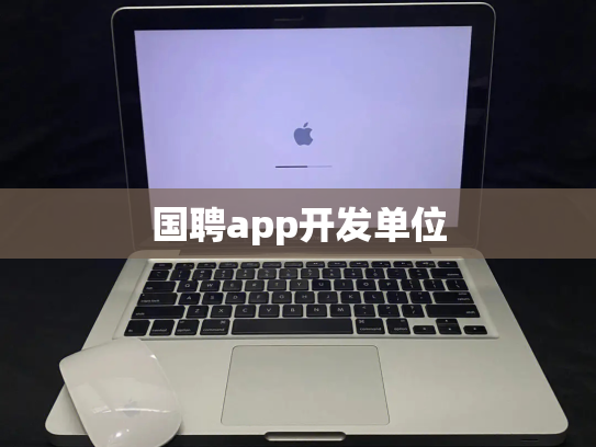 国聘app开发单位