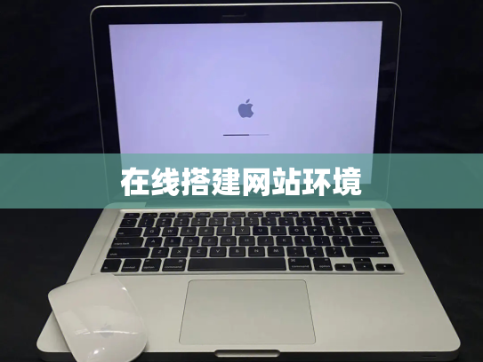 在线搭建网站环境