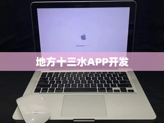 地方十三水APP开发
