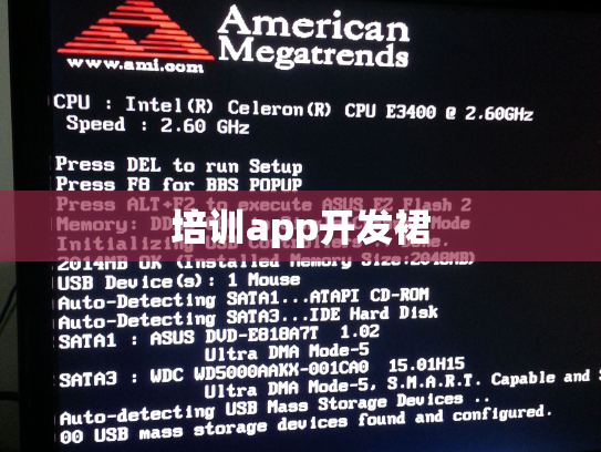 培训app开发裙