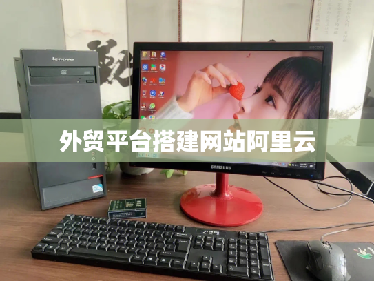外贸平台搭建网站阿里云