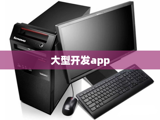 大型开发app