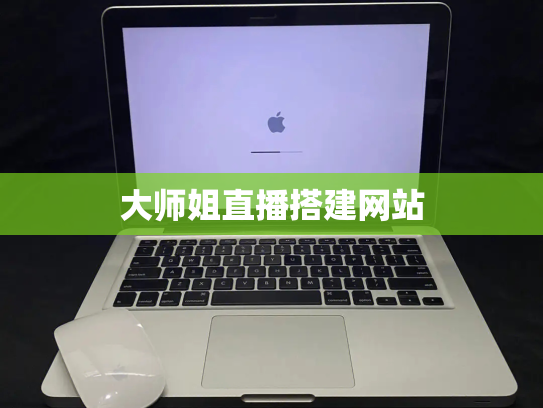 大师姐直播搭建网站