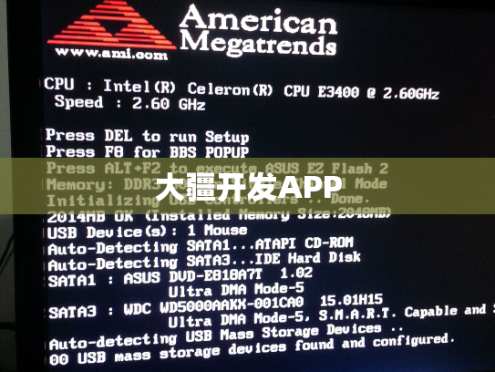 大疆开发APP