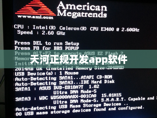 天河正规开发app软件