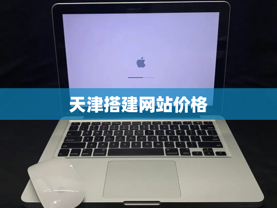 天津搭建网站价格