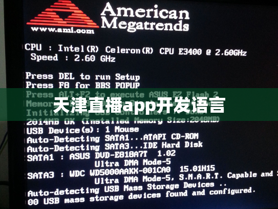 天津直播app开发语言