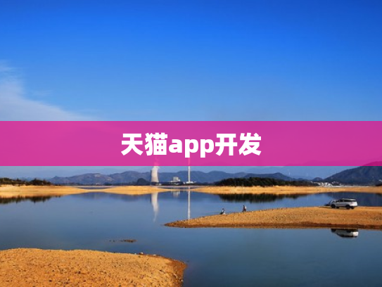 天猫app开发