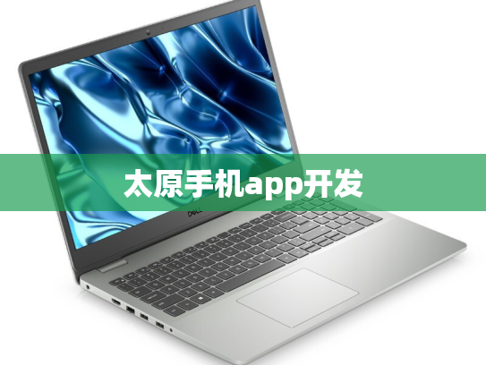 太原手机app开发