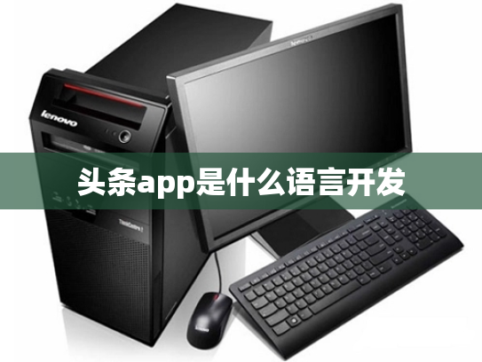 头条app是什么语言开发