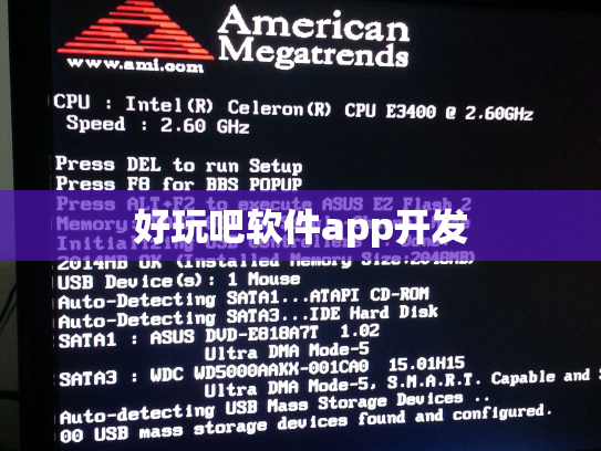 好玩吧软件app开发