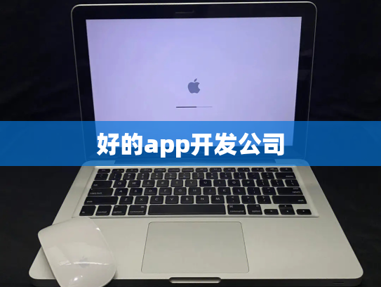 好的app开发公司
