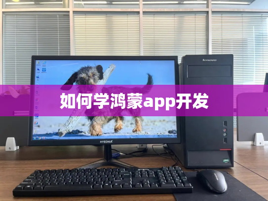 如何学鸿蒙app开发
