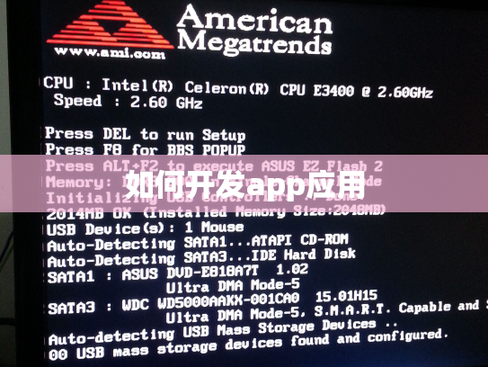 如何开发app应用