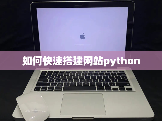 如何快速搭建网站python