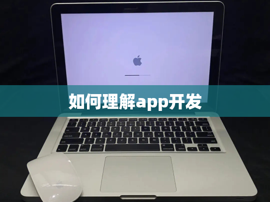 如何理解app开发