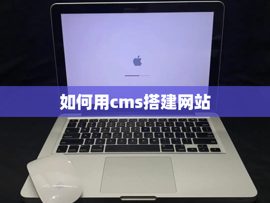 如何用cms搭建网站