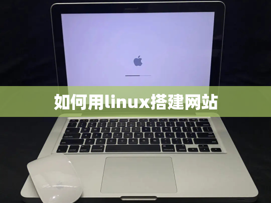 如何用linux搭建网站