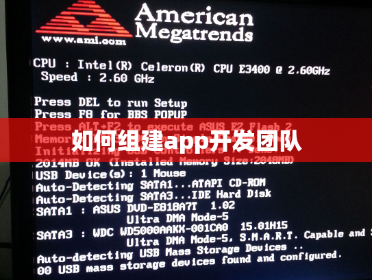 如何组建app开发团队