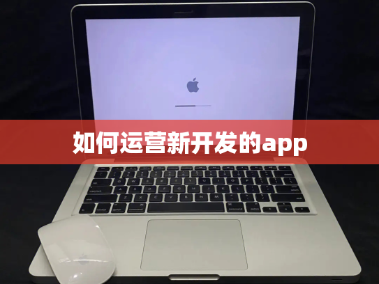 如何运营新开发的app