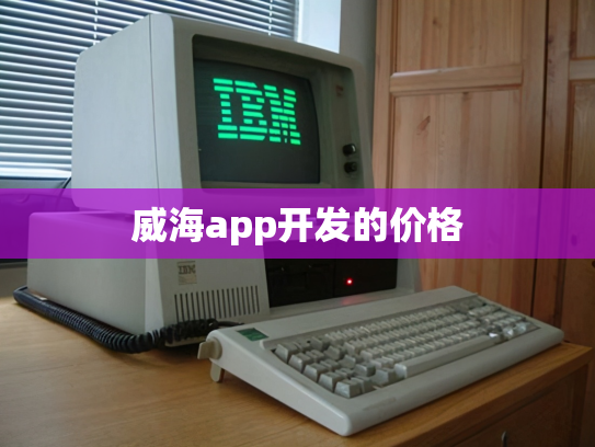 威海app开发的价格