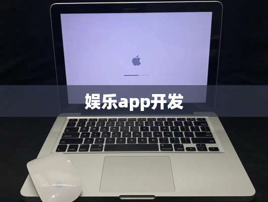 娱乐app开发