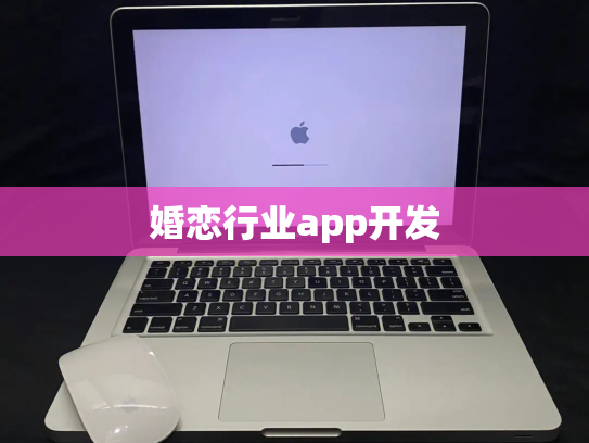 婚恋行业app开发