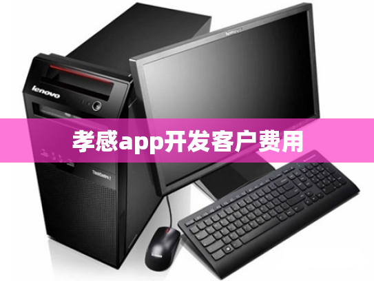 孝感app开发客户费用
