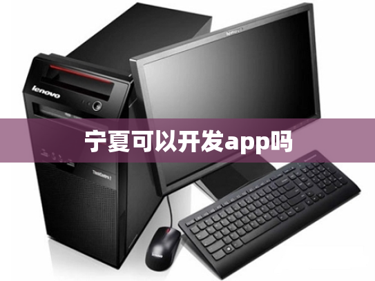 宁夏可以开发app吗