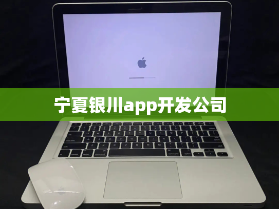 宁夏银川app开发公司