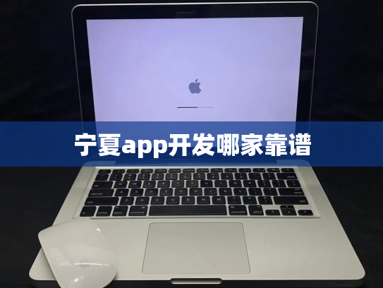宁夏app开发哪家靠谱