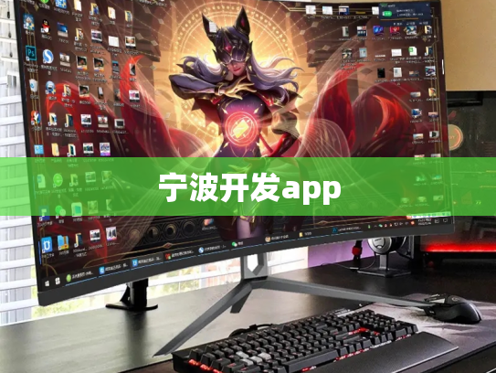 宁波开发app