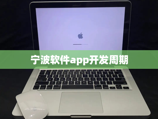 宁波软件app开发周期
