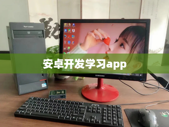 安卓开发学习app