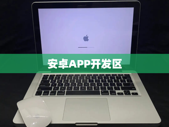 安卓APP开发区