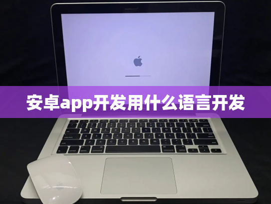 安卓app开发用什么语言开发