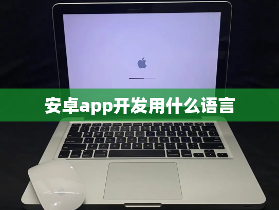 安卓app开发用什么语言