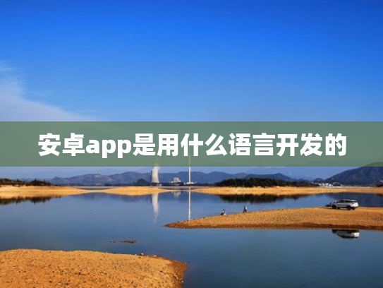 安卓app是用什么语言开发的