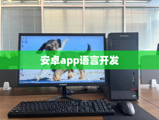 安卓app语言开发