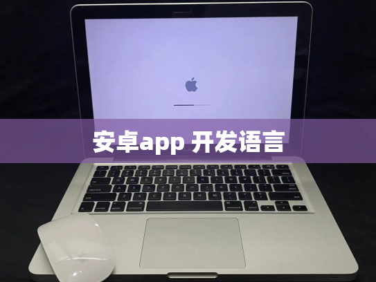 安卓app 开发语言