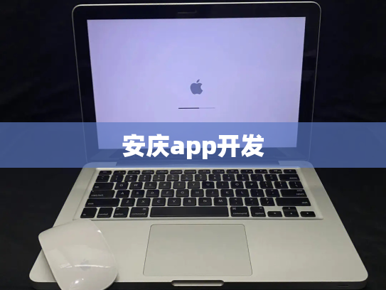 安庆app开发
