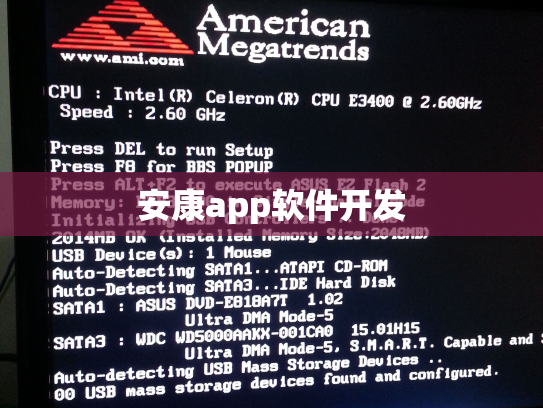 安康app软件开发