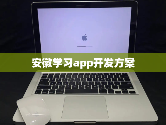 安徽学习app开发方案