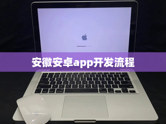 安徽安卓app开发流程