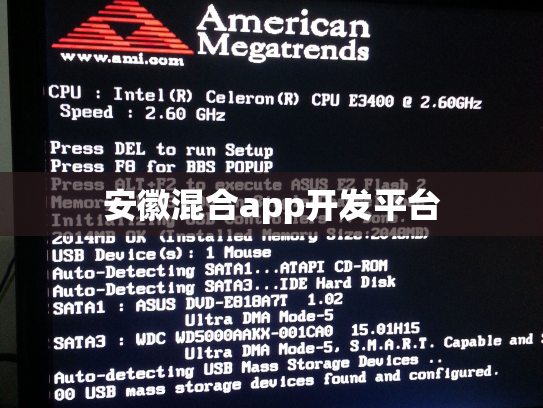 安徽混合app开发平台