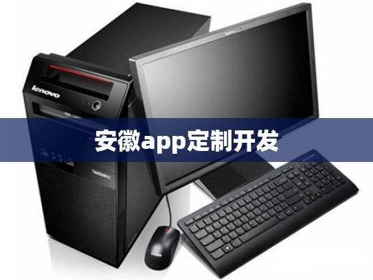 安徽app定制开发