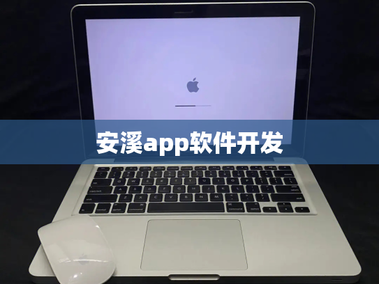 安溪app软件开发