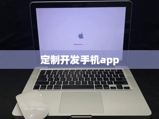 定制开发手机app