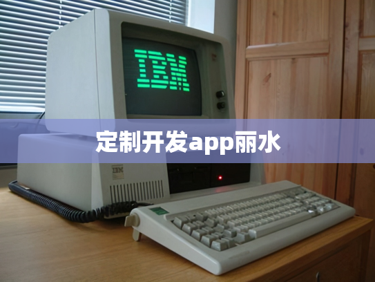 定制开发app丽水
